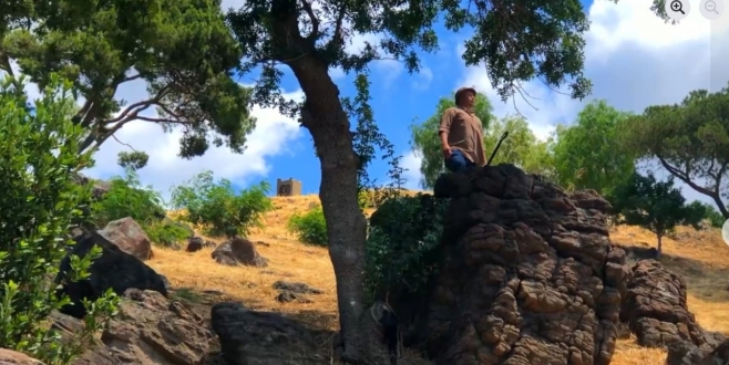 Her şey erik dalı ile başladı