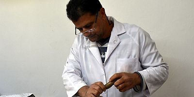 Ahşaba Hayat Veriyor