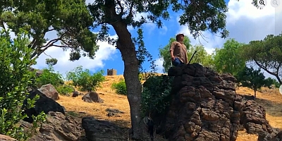 Her şey erik dalı ile başladı