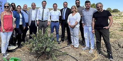 Sakız Ağacı Ağaçlandırma Sahası  İzmir Foça’da Hayata Geçiyor