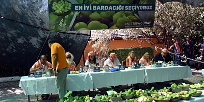 ‘Toprak Reformu Yapacağız”
